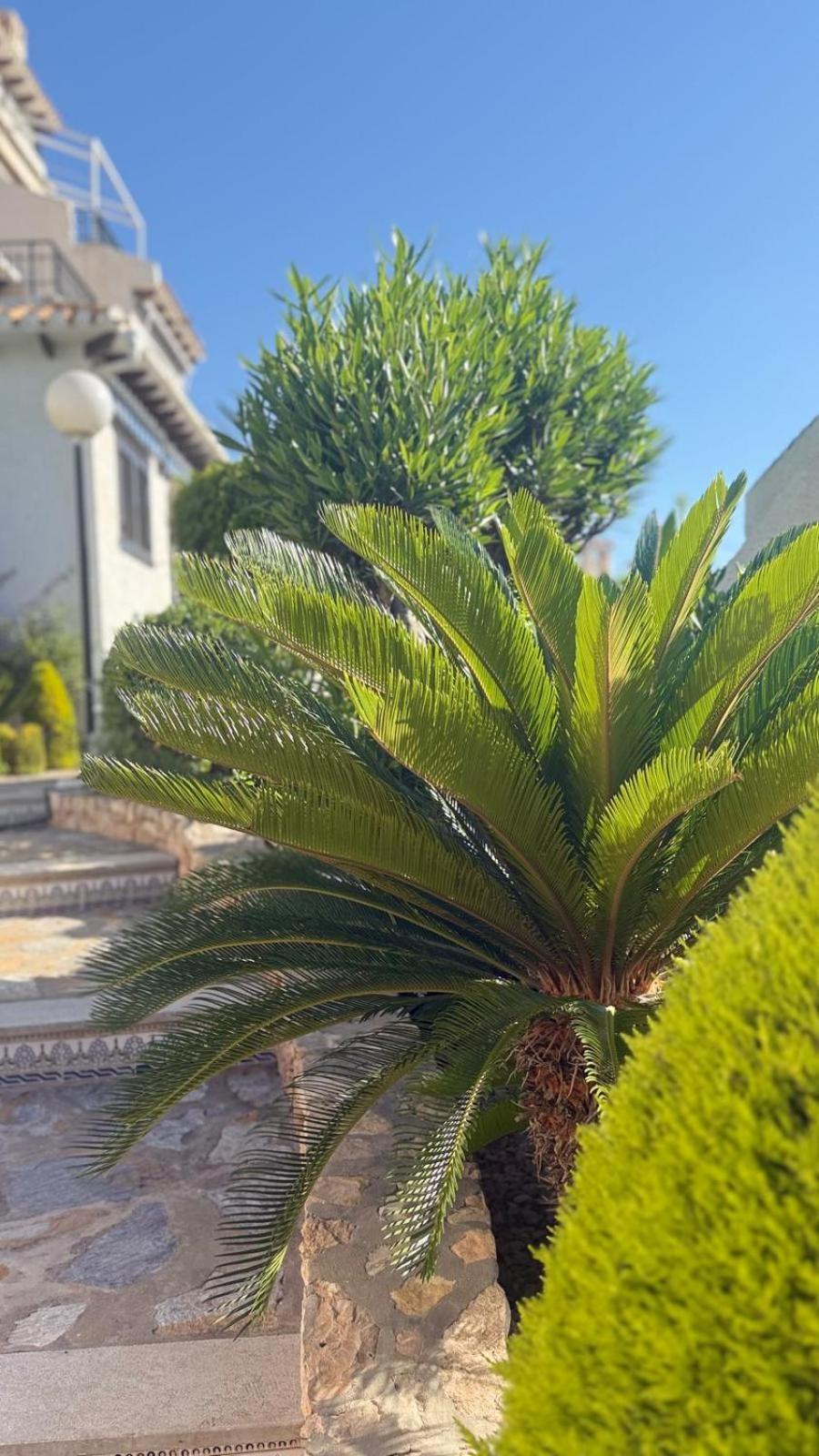 Lobo En Cabo Apartment, Cabo Roig , Orihuela Costa Zewnętrze zdjęcie